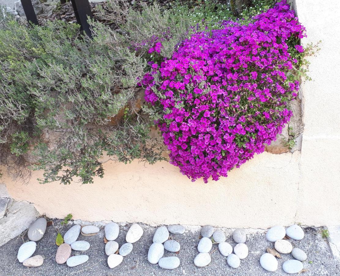 Saint-Blaise  Lou Mas Dau Paigran B&B 외부 사진