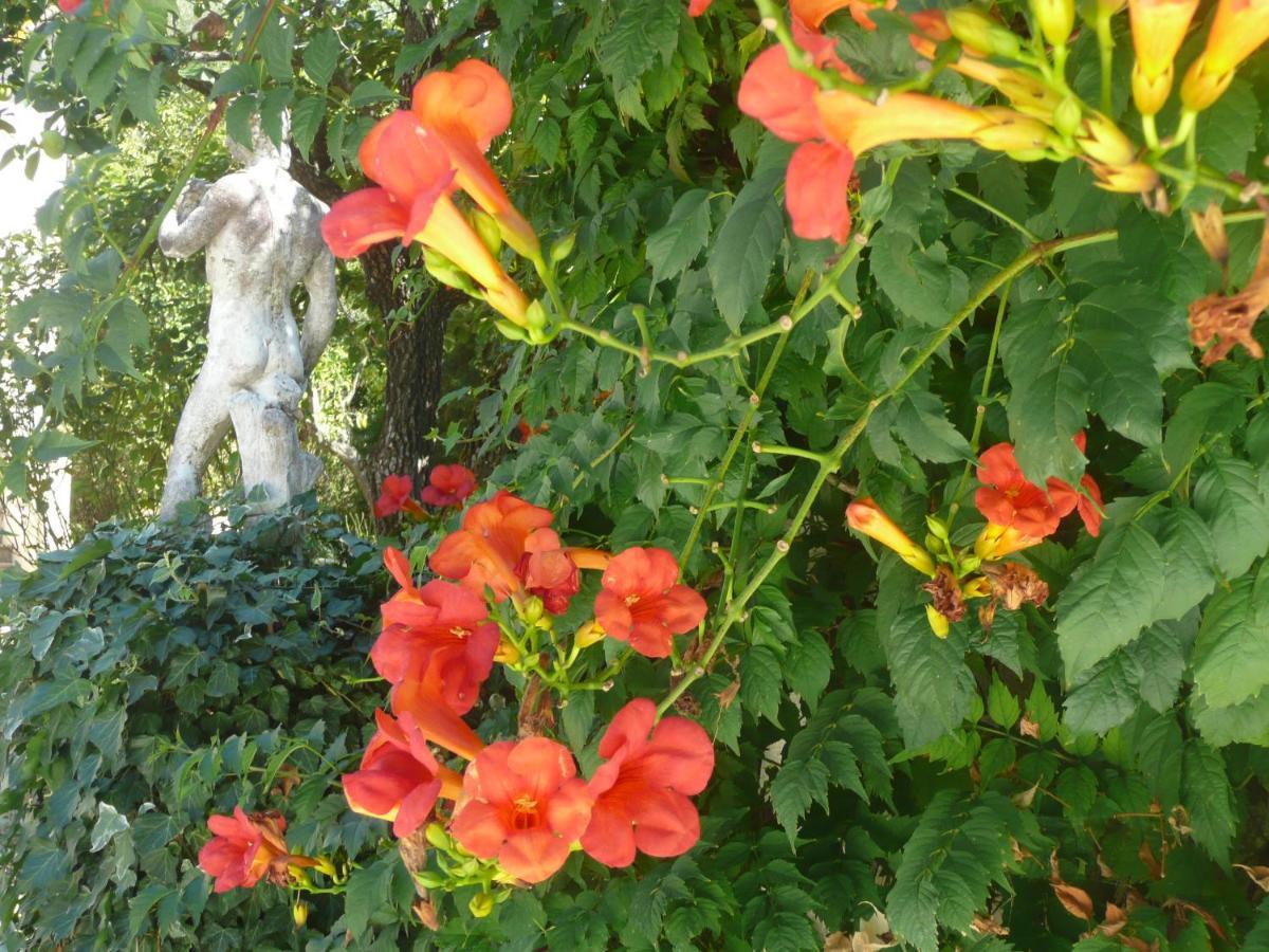 Saint-Blaise  Lou Mas Dau Paigran B&B 외부 사진