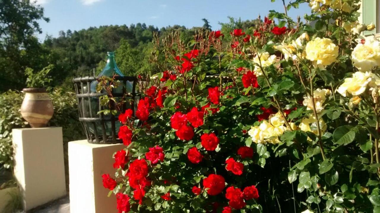 Saint-Blaise  Lou Mas Dau Paigran B&B 외부 사진
