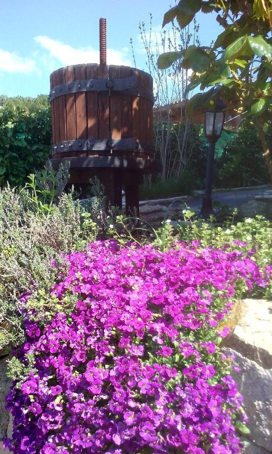 Saint-Blaise  Lou Mas Dau Paigran B&B 외부 사진