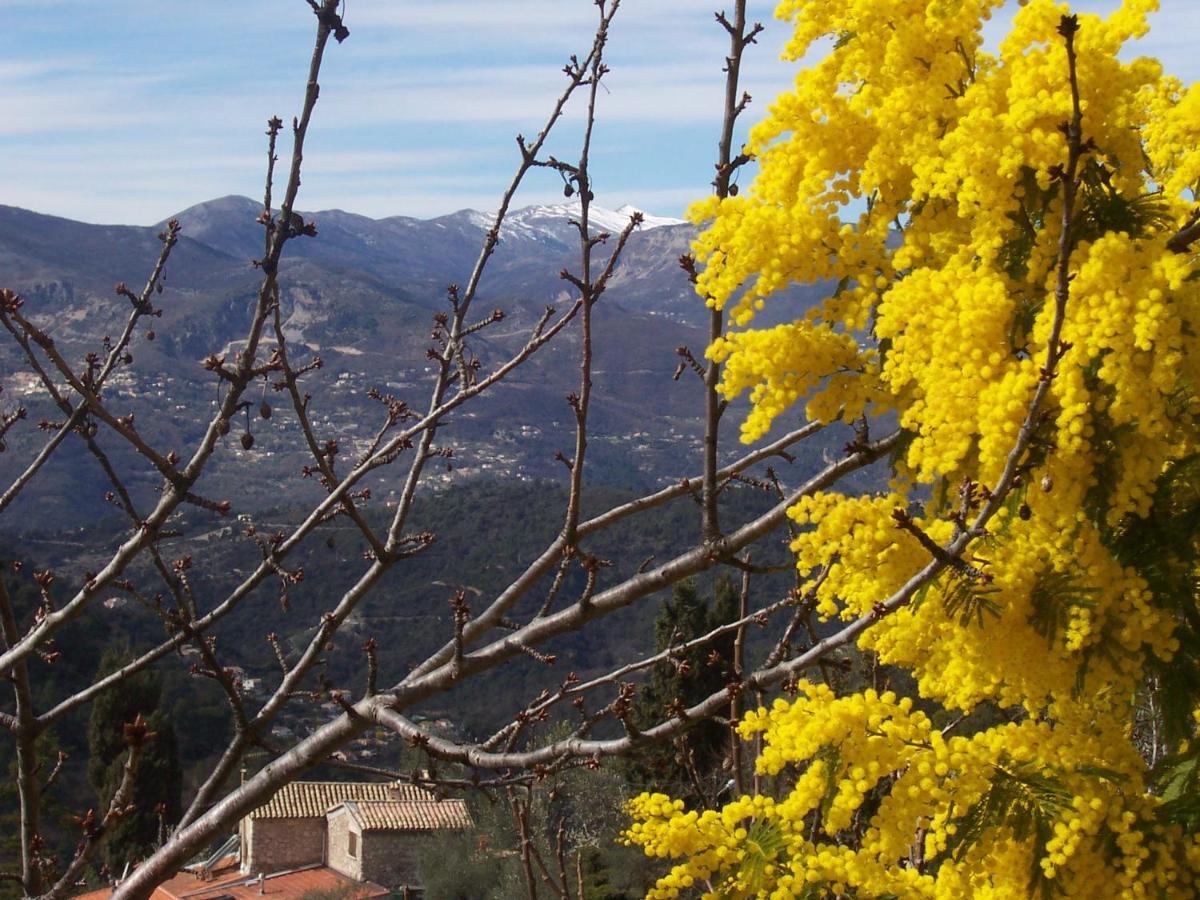 Saint-Blaise  Lou Mas Dau Paigran B&B 외부 사진